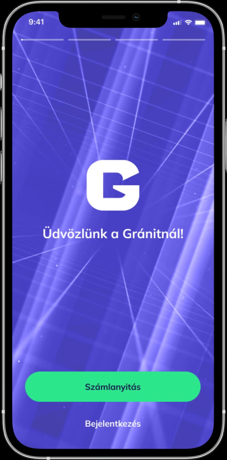Alkalmazás: Bejelentkezés ablak.